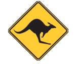 The Nullarbor Skippycoin ICG