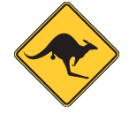 The Nullarbor Skippycoin ICG